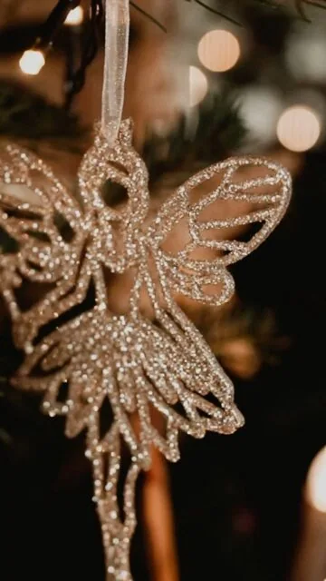 Reichtum hat für mich nichts mit Dingen zu tun. Nicht mit teuren Geschenken, Designerhandtaschen, Schmuck oder dem, was man sich leisten kann.
Reichtum ist das hier. Meine Kinder, die den Christbaum schmücken. Ihre Aufregung, ihre Stimmen, ihr Lachen. Unser Hund mittendrin. Nähe. Alltag. Leben.

Reichtum ist, meine Kinder aufwachsen zu sehen. Zu erleben, wie sie groß werden und Zeit zu schenken. Ihnen eine Kindheit zu ermöglichen, die sich für uns richtig anfühlt. Sie nicht in ein System pressen zu müssen, das nicht zu uns passt. Und bei ihnen sein zu können, wenn sie mich brauchen.

Ich weiß, wie kostbar das ist. Und wie zerbrechlich.
Ich trage unendliches Glück in mir – und gleichzeitig eine unendliche Trauer, weil unsere große Tochter fehlt. Beides gehört zu mir. 

Vielleicht genau deshalb verstehe ich euch so gut und kann mich in euch hineinfühlen.
Kenne eure Ängste. Eure Unsicherheiten. Kinderwunsch. Eure Freude. Eure Dankbarkeit.

Diese Momente für euch sichtbar zu machen, sie festzuhalten in Bildern und Filmen – das ist für mich der schönste Beruf der Welt. Und ich bin dankbar, dass ich das tun darf. Danke für euer Vertrauen!