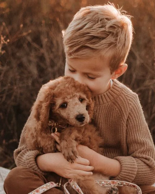 Mein ganzes Glück auf diesen Bildern.

Meine Jungs. Mein Mann. Unsere Flora.
Mein Zuhause, meine Familie, mein Leben.

Als Mama weiß ich nur zu gut, wie voll das Leben manchmal ist. Wie ein Tag in den nächsten übergeht, zwischen Schule, Terminen, Arbeit, Wäschebergen, Einkaufen, Essen machen und all den tausend Kleinigkeiten, die eben jeden Tag dazugehören.

Und während man mittendrin steckt, passiert etwas, das man manchmal erst im Rückblick so richtig begreift:

Die Zeit vergeht.

Die Kinder werden größer. Aus kleinen Händen werden große. Sie brauchen uns anders als noch vor ein paar Jahren. Und manchmal schaue ich meine Jungs an und frage mich wirklich, wann das eigentlich alles passiert ist.

Und jetzt ist da auch noch unsere Flora. Noch so klein. Noch ganz am Anfang ihres Lebens mit uns. Und ich weiß heute schon, dass ich irgendwann auf diese Bilder schauen und denken werde: Mein Gott, war sie da noch klein.

Bilder sind so ein wertvoller Schatz. Weil ich die Zeit nicht anhalten können. So gerne ich das manchmal würde.

Aber ich können festhalten, wie wir heute sind.

Meine Jungs in genau diesem Alter.
Wir als Familie.
Flora noch klein und mittendrin.
Dieses ganz normale, volle und wunderschöne Leben.

Denn irgendwann ist heute eine Erinnerung.

Und ich bin so glücklich, dass ich sie habe.

Mein ganzes Glück. Genau so. Genau jetzt. Genau das wünsche ich mir für euch auch. 

•

Alexandra Reiter Fotografie
Fotografin für Newborn-, Babybauch- und Familienfotografie im Unterallgäu – für Familien aus Ulm, Augsburg, Memmingen und dem gesamten Allgäu.

Ich freue mich darauf, eure Geschichte in liebevollen, zeitlosen Bildern festzuhalten.

www.alexandrareiterfotografie.de
info@alexandrareiterfotografie.de
WhatsApp: 0176-61122336

Familienfotografie · Familienbilder · Pudel · Familienfotografin Allgäu · Familienleben · Erinnerungen für immer